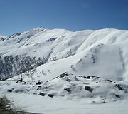 Apačioje žalia, vir&scaron;uje &ndash; balta