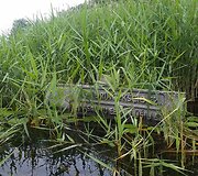 Ekspedicijos &bdquo;Baidarė upėje&ldquo; akimirkos