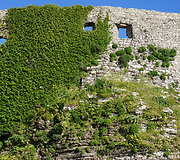 Erice