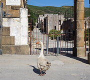 Poggioreale