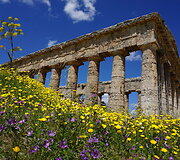 Segesta