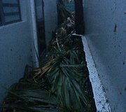 &Scaron;v. Bortolomėjaus sala po ją nusiaubusio uragano Irma