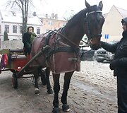 Persirengėliai į &scaron;ventę važiavo vežimu.