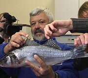 Klaipėdos universiteto lektorius Antanas Kontautas su neįprastu &scaron;ventoji&scaron;kių laimikiu. 