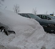 Raginimus patiems pasirūpinti savo kiemais i&scaron;girdo ne visi.