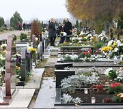 Klaipėdos Lėbartų kapinės skendėjo gėlėse.