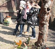 Atvelykio &scaron;ventės kiemą i&scaron;puo&scaron;ė pauk&scaron;tukai. 
