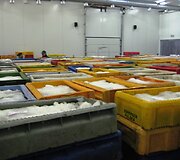 Žuvininkystės produktų aukcionas užverstas žuvimis. 