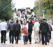 Tiltas į jūrą vėl priminė vasaros vakarus Palangoje.