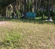 Paplūdimiams prie Platelių ežero žmonės turėjo priekai&scaron;tų dėl ne&scaron;ienautos žolės.