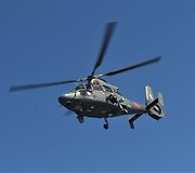 Ant Palangos tilto surengtos pratybos