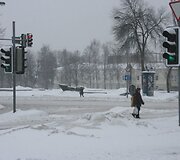 Klaipėdoje savaitgalį gerokai prisnigo ir pripustė