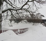 Sniegas užklojo tykiąją Nidą
