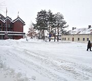 Nidoje sniego gamta nepagailėjo