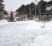 Nidoje sniego gamta nepagailėjo