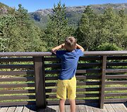 Norvegija