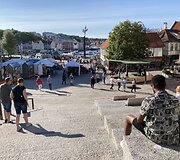 Stavangeris