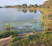 Kretingos rajone pastebėti i&scaron;tekėję ter&scaron;alai Padvarių tvenkinyje, tar&scaron;a teka Akmena 