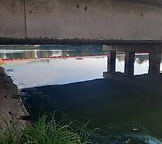Kretingos rajone pastebėti i&scaron;tekėję ter&scaron;alai Padvarių tvenkinyje, tar&scaron;a teka Akmena 