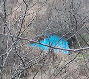 Vanduo Kretingoje dėl tar&scaron;os nusidažė mėlynai