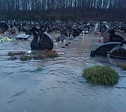 Kartenos, Kretingos rajone, kapinės ėmė skęsti