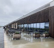 Talino kruizinių laivų terminalas
