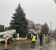 Klaipėdos Teatro aik&scaron;tę pasiekė Kalėdų medis