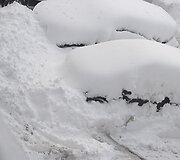 Apsnigta Plungė.  2026 m. Sausio 04 d. 