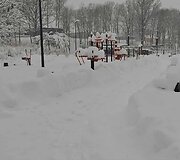 Apsnigta Plungė.  2026 m. Sausio 04 d. 