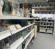 Naujo tipo IKEA Klaipėdoje 