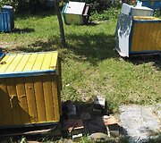 Vandalai Mickų kaime i&scaron;vartė devynis avilius