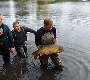 Entuziastingi žvejai savanori&scaron;kai i&scaron; Laukžemių tvenkinio pergabeno &scaron;imtus žuvų į Trinyčių tvenkinį.