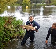 Entuziastingi žvejai savanori&scaron;kai i&scaron; Laukžemių tvenkinio pergabeno &scaron;imtus žuvų į Trinyčių tvenkinį.