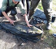 Entuziastingi žvejai savanori&scaron;kai i&scaron; Laukžemių tvenkinio pergabeno &scaron;imtus žuvų į Trinyčių tvenkinį.