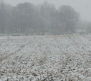 Penktadienį prie&scaron; Velykas Vakarų Lietuvoje ėmė snigti.