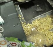 Nidos kelio poste sulaikytas apdorotas gintarą