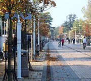 Saulėtas ruduo Palangoje