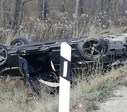 Kelyje Kazlų Rūda-Ąžuolų Būda apsivertė automobilis.