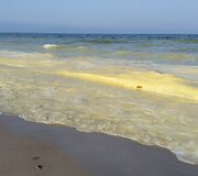 Pageltusios Baltijos jūros bangos