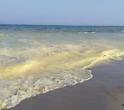 Pageltusios Baltijos jūros bangos