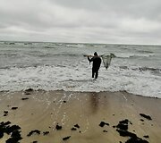 Po audros jūra padovanojo gintarinių laimikių.