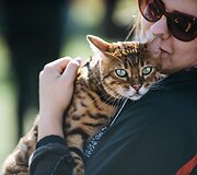 Pasaulinės gyvūnų dienos akimirkos Gargžduose