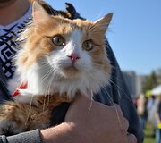 Pasaulinės gyvūnų dienos akimirkos Gargžduose