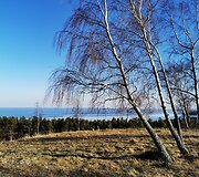Ties Preilos kopomis bus įrengti laiptai. Atsivers panorama i&scaron; 53 m auk&scaron;čio.