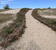 Kur&scaron;ių nerija