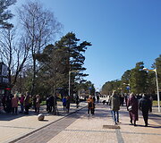 Palanga savaitgalį sulaukė kurorto i&scaron;siilgusių svečių