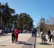 Palanga savaitgalį sulaukė kurorto i&scaron;siilgusių svečių