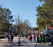 Palanga savaitgalį sulaukė kurorto i&scaron;siilgusių svečių