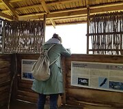 Pauk&scaron;čių regyklos: i&scaron;girskite ir pamatykite pamario pauk&scaron;čius