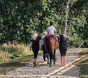 Žirgynas, esantis Kunkiuose 